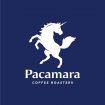 pacamara-logo-ielts-for-thai